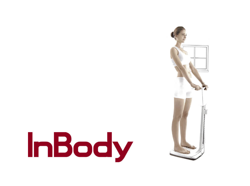in-body-vs2